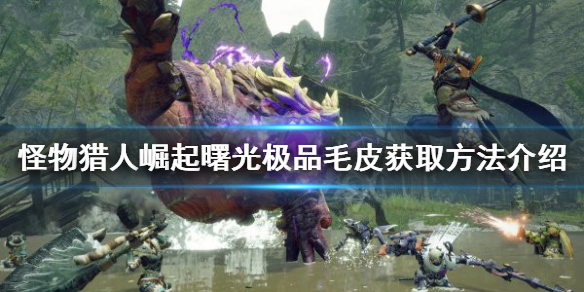 《怪物獵人崛起》極品毛皮如何獲得？曙光極品毛皮獲取方法介紹