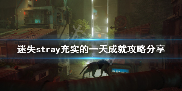 《迷失》充實的一天成就怎麼做？stray充實的一天成就攻略分享
