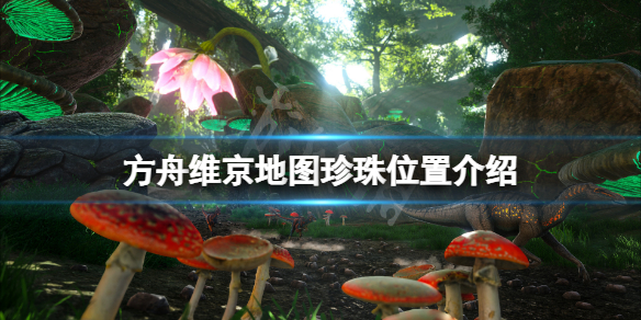 《方舟生存進化》維京地圖珍珠在哪？維京地圖珍珠位置介紹