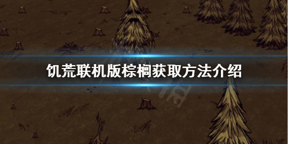 《飢荒聯機版》棕櫚如何獲得？棕櫚獲取方法介紹