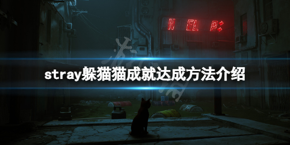 《迷失》躲貓貓成就怎麼達成？stray躲貓貓成就達成方法介紹