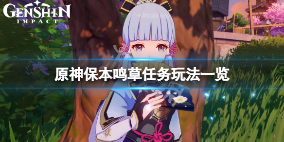 《原神》保本鳴草任務怎麼玩？保本鳴草任務玩法一覽