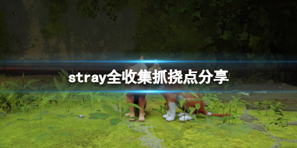 《迷失》stray遊戲流浪貓抓撓點在哪裡？stray遊戲全收集抓撓點分享