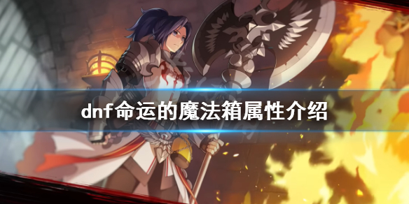 《dnf》命運的魔法箱好用嗎？命運的魔法箱屬性介紹