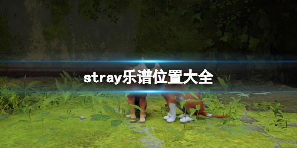 《迷失》stray樂譜有什麼用？樂譜位置大全