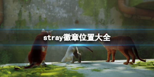 《迷失》stray徽章位置大全 徽章在哪找？