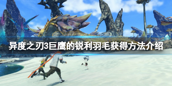 《異度之刃3》巨鷹的銳利羽毛怎麼獲得？巨鷹的銳利羽毛獲得方法介紹