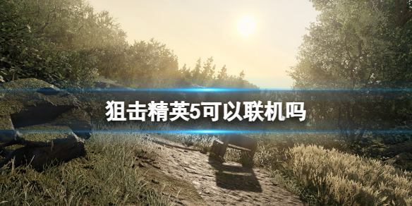 《狙擊精英5》幾人聯機？可以聯機嗎？