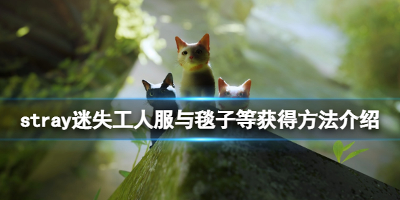 《迷失》stray斗篷有什麼用？工人服與毯子等獲得方法介紹