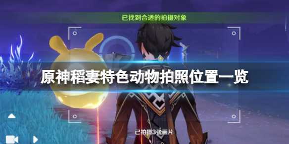 《原神》稻妻特色動物拍照位置一覽 稻妻特色動物在哪拍照？