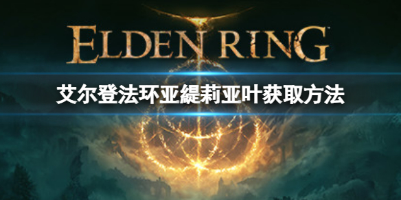 《艾爾登法環》亞緹莉亞葉如何獲取？亞緹莉亞葉獲取方法
