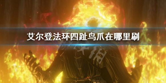 《艾爾登法環》四趾鳥爪在哪裡刷 快速刷四趾鳥爪地點