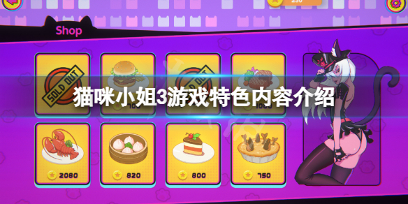 《貓咪小姐3》好玩嗎？游戲特色內容介紹