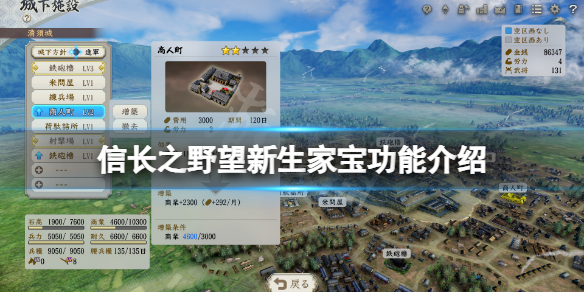 《信長之野望新生》家寶有什麼用？家寶功能介紹