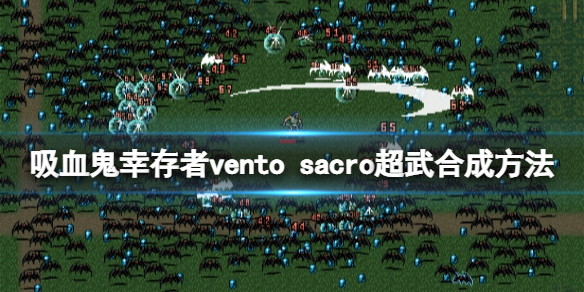 《吸血鬼倖存者》vento sacro超武如何合成？vento sacro超武合成方法
