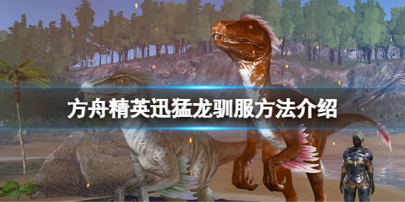 《方舟生存進化》精英迅猛龍可以馴服嗎？精英迅猛龍馴服方法介紹