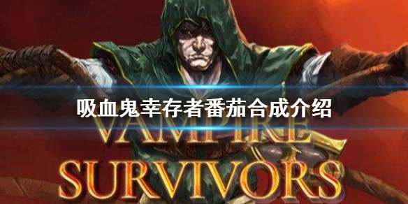 《吸血鬼倖存者》番茄有什麼用 番茄能合成超武介紹