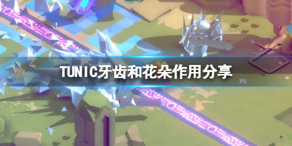 《TUNIC》牙齒和花朵有什麼作用？牙齒和花朵作用分享