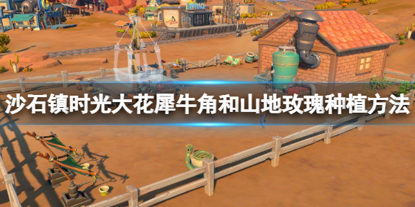 《沙石鎮時光》山地玫瑰怎麼種？大花犀牛角和山地玫瑰種植方法