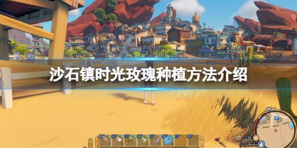 《沙石鎮時光》玫瑰怎麼種？玫瑰種植方法介紹