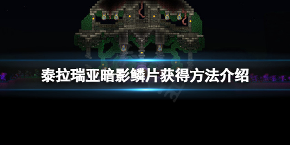 《泰拉瑞亞》暗影鱗片怎麼獲得？暗影鱗片獲得方法介紹