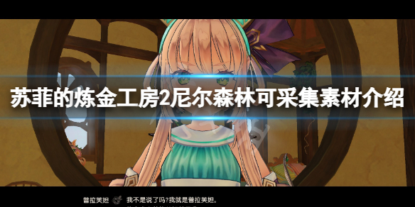 《蘇菲的煉金工房2》尼爾森林素材有什麼 尼爾森林可採集素材介紹