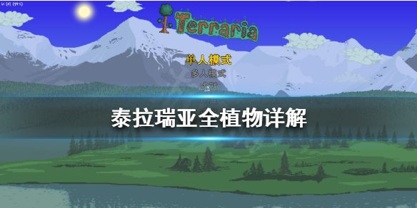 《泰拉瑞亞》有哪些植物？全植物詳解