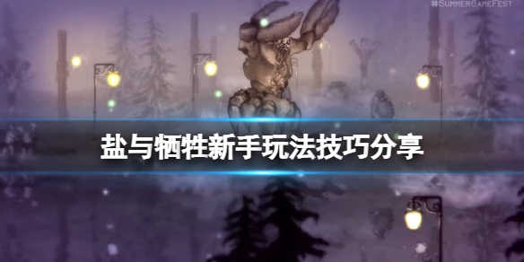 《鹽與獻祭》近戰怎麼玩？新手玩法技巧分享