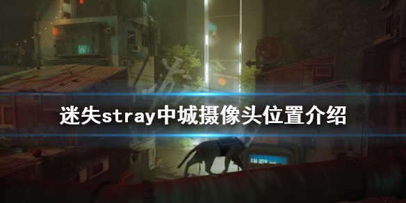 《迷失》中城攝像頭在哪？stray中城攝像頭位置介紹