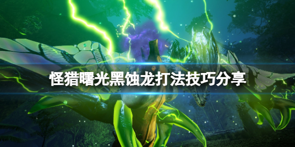 《怪物獵人崛起》曙光黑蝕龍怎麼打？曙光黑蝕龍打法技巧分享