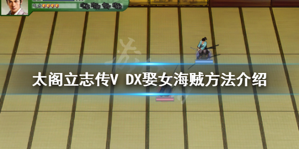 《太閣立志傳V DX》怎麼娶女海賊？娶女海賊方法介紹