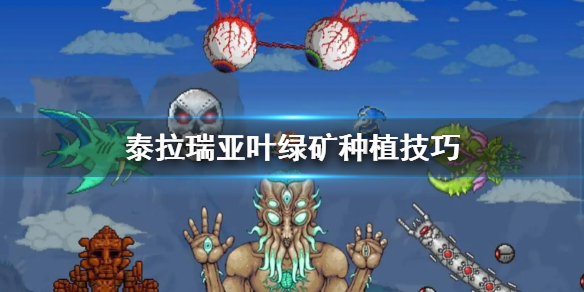 《泰拉瑞亞》葉綠礦種植怎麼種好？葉綠礦種植技巧