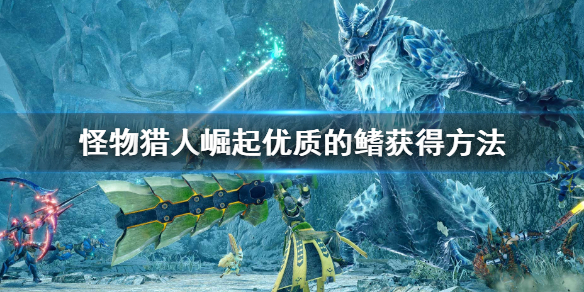 《怪物獵人崛起》優質的鰭怎麼獲得？rise優質的鰭獲得方法