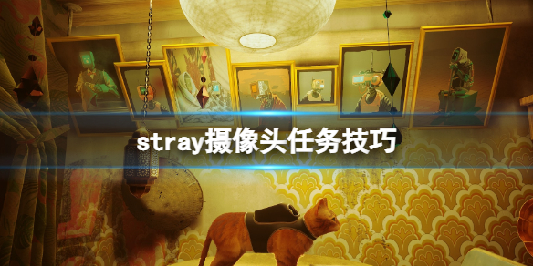 《迷失》stray攝像頭怎麼破壞？攝像頭任務技巧