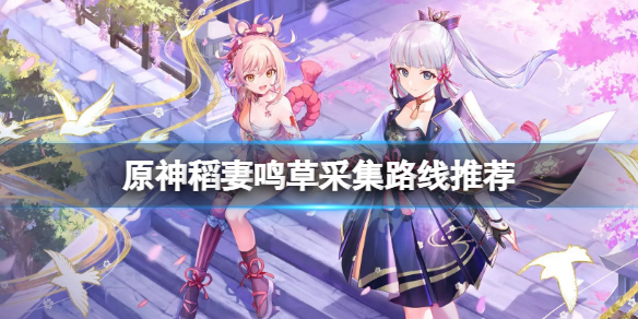 《原神》鳴草哪裡多？稻妻鳴草採集路線推薦