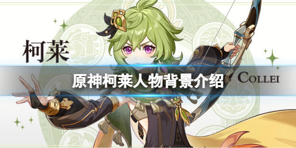 《原神》柯萊是誰？柯萊人物背景介紹