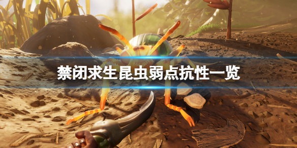 《禁閉求生》蟲子怎麼打？昆蟲弱點抗性一覽