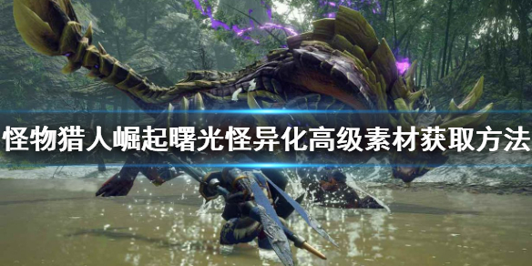 《怪物獵人崛起》高級素材如何獲得？曙光怪異化高級素材獲取方法