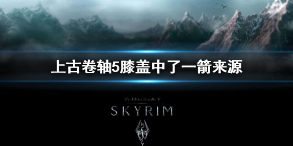 《上古卷軸5》直到我的膝蓋中了一箭梗來源 膝蓋中了一箭來源