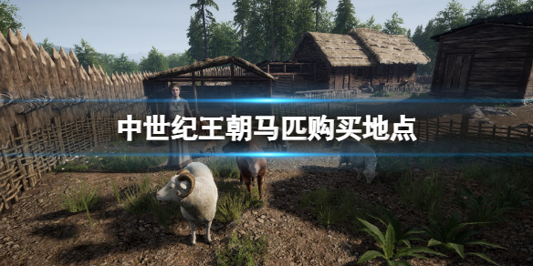 《中世紀王朝》馬在哪買？馬匹購買地點