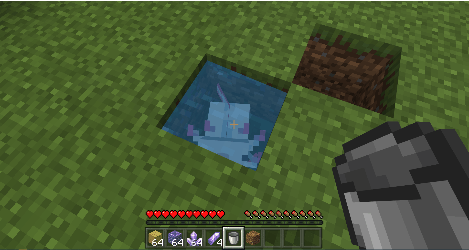 我的世界手機版怎麼捕捉蠑螈？