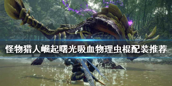 《怪物獵人崛起》蟲棍如何配裝？曙光吸血物理蟲棍配裝推薦