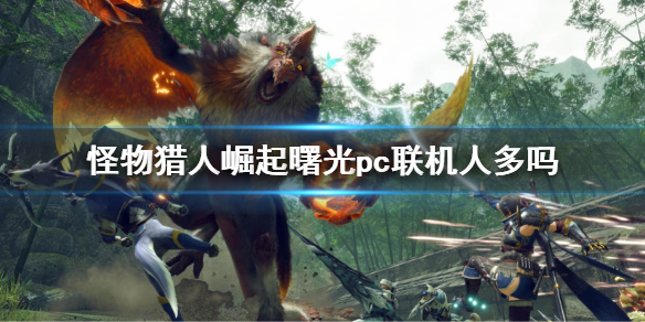 《怪物獵人崛起》曙光pc聯機人多嗎？steam聯機環境介紹