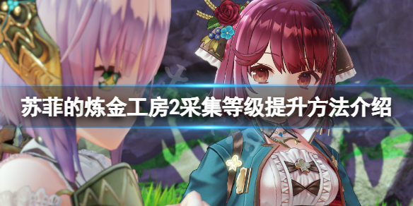 《蘇菲的煉金工房2》採集等級怎麼提升？採集等級提升方法介紹