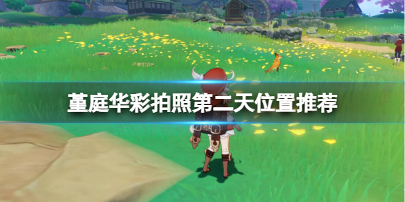 《原神》四張稻妻動物圖片在哪拍？堇庭華彩拍照第二天位置推薦