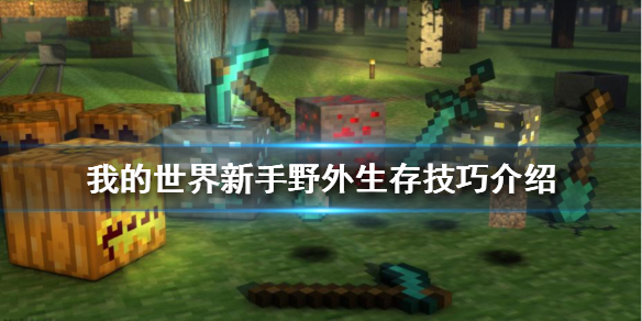 《我的世界》新手如何在野外生存？新手野外生存技巧介紹