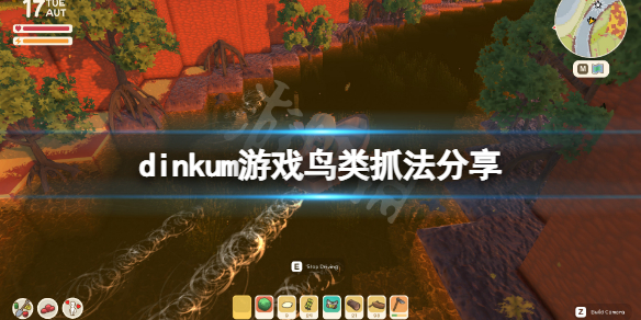 《Dinkum》鳥怎麼抓？dinkum游戲鳥類抓法分享