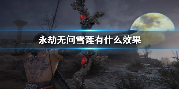 《永劫無間》雪蓮有什麼效果？雪蓮作用介紹