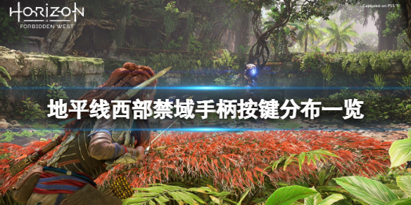 《地平線西之絕境》手柄怎麼操作？手柄按鍵分布一覽