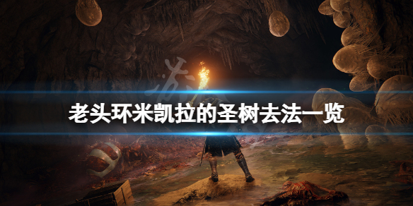 《艾爾登法環》米凱拉的聖樹怎麼去？米凱拉的聖樹去法一覽